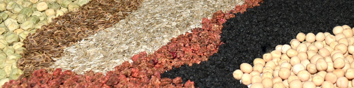 semená rastlín semená zeleniny semená kvetov