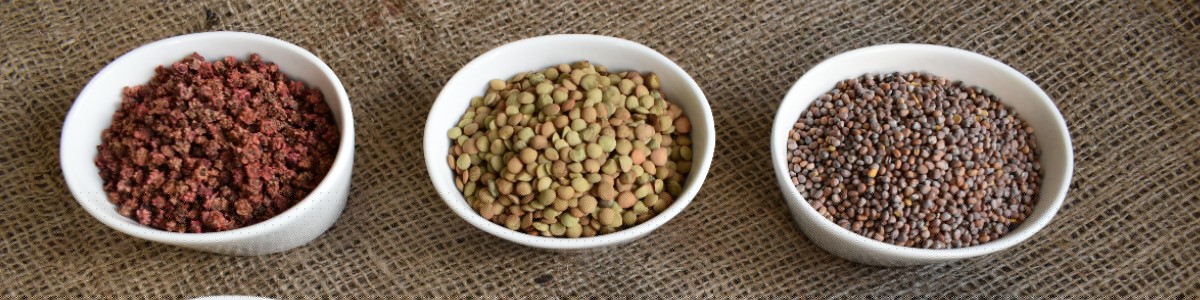 semená rastlín semená zeleniny semená kvetov