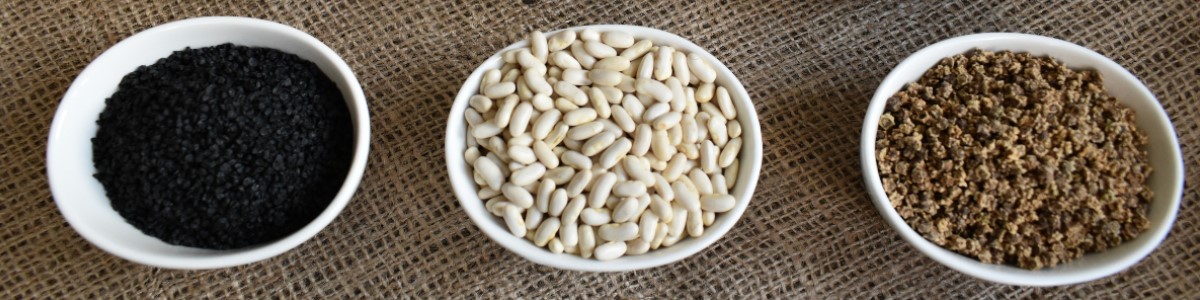 semená rastlín semená zeleniny semená kvetov