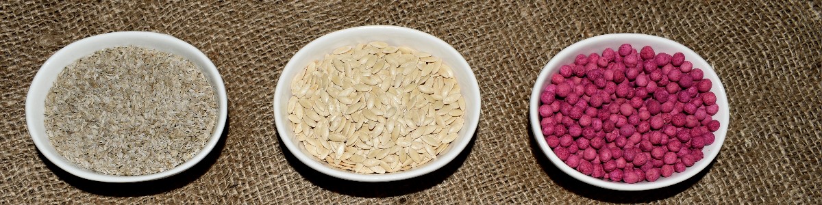 semená rastlín semená zeleniny semená kvetov