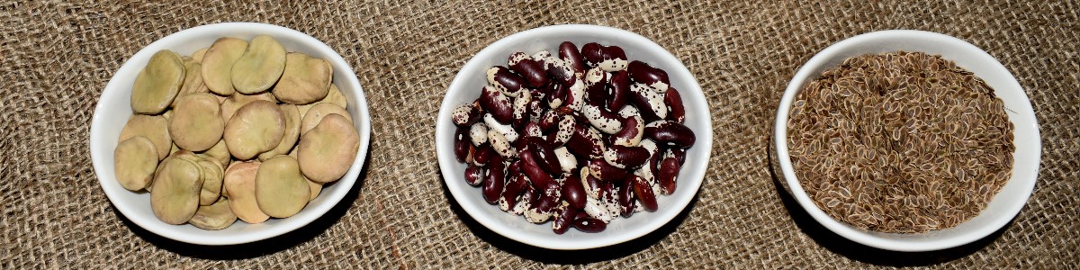 semená rastlín semená zeleniny semená kvetov