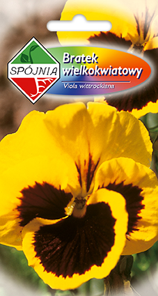 PLANTICO semená rastlín semená zeleniny semená kvetov