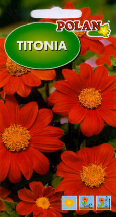 PLANTICO semená rastlín semená zeleniny semená kvetov