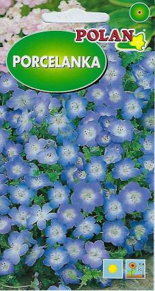 PLANTICO semená rastlín semená zeleniny semená kvetov