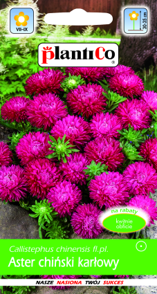 PLANTICO semená rastlín semená zeleniny semená kvetov