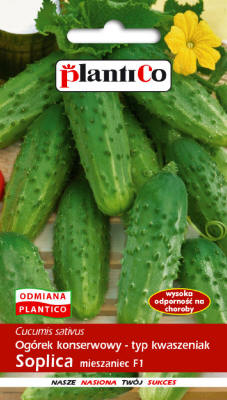 PLANTICO semená rastlín semená zeleniny semená kvetov