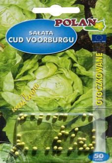 PLANTICO semená rastlín semená zeleniny semená kvetov